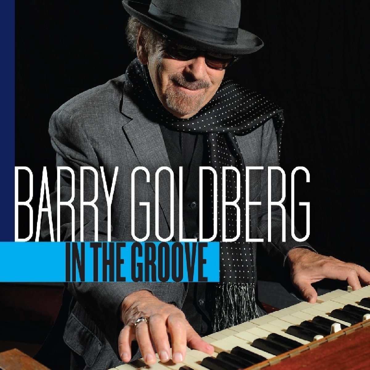 BARRY GOLDBERG / バリー・ゴールドバーグ / IN THE GROOVE