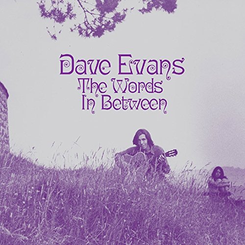 DAVE EVANS / デイヴ・エヴァンス / THE WORDS IN BETWEEN (LP)