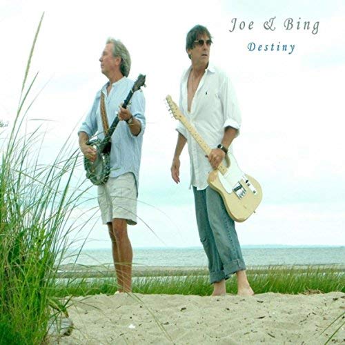 JOE & BING (BEST OF FRIENDS) / ジョー・アンド・ビング / DESTINY (CDR)