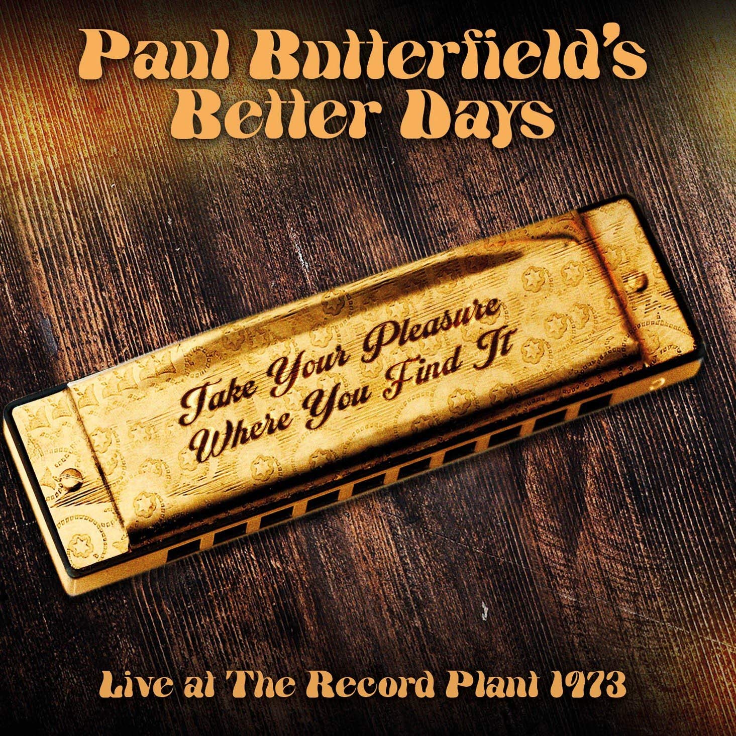 PAUL BUTTERFIELD'S BETTER DAYS / ポール・バターフィールズ・ベター・デイズ / TAKE YOUR PLEASURE WHERE YOU FIND IT - LIVE AT THE RECORD PLANT 1973