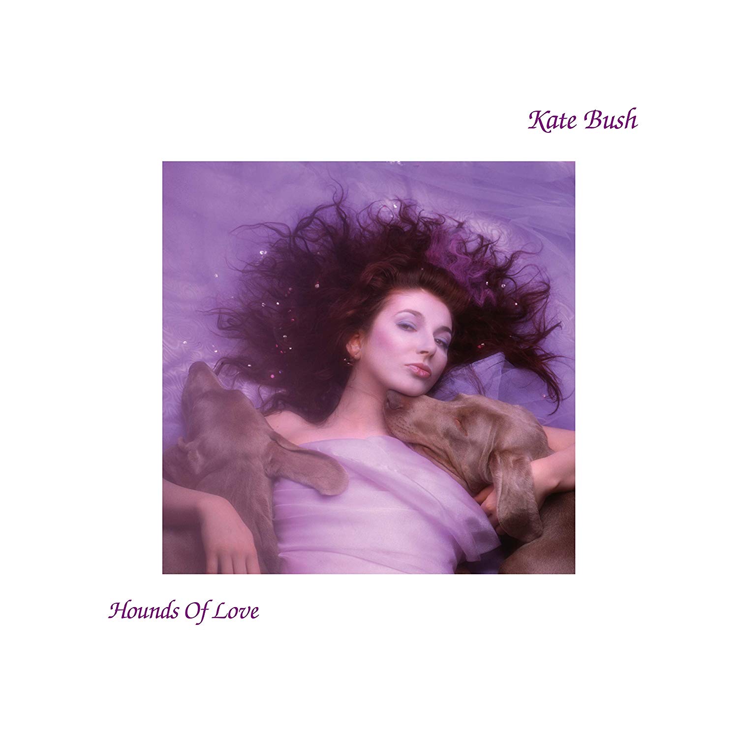 KATE BUSH / ケイト・ブッシュ / HOUNDS OF LOVE (2018 REMASTER 180G LP)