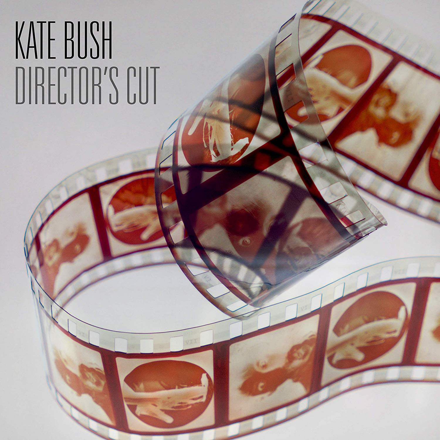 KATE BUSH / ケイト・ブッシュ / DIRECTOR'S CUT (2018 REMASTER 180G 2LP)