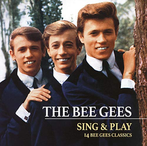 BEE GEES / ビー・ジーズ / SING & PLAY - 14 BEE GEES CLASSICS (180G LP)