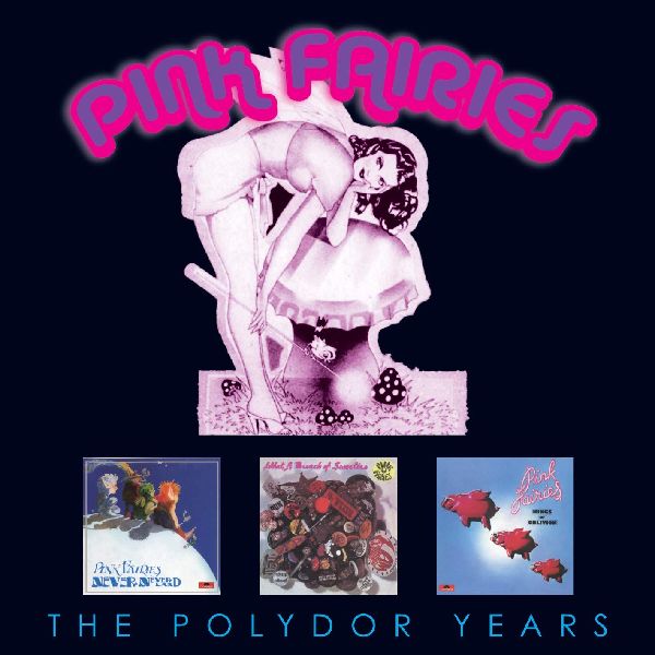 ピンク・フェアリーズ / THE POLYDOR COLLECTION (3CD)
