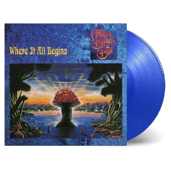 ALLMAN BROTHERS BAND / オールマン・ブラザーズ・バンド / WHERE IT ALL BEGINS (COLORED 180G 2LP)