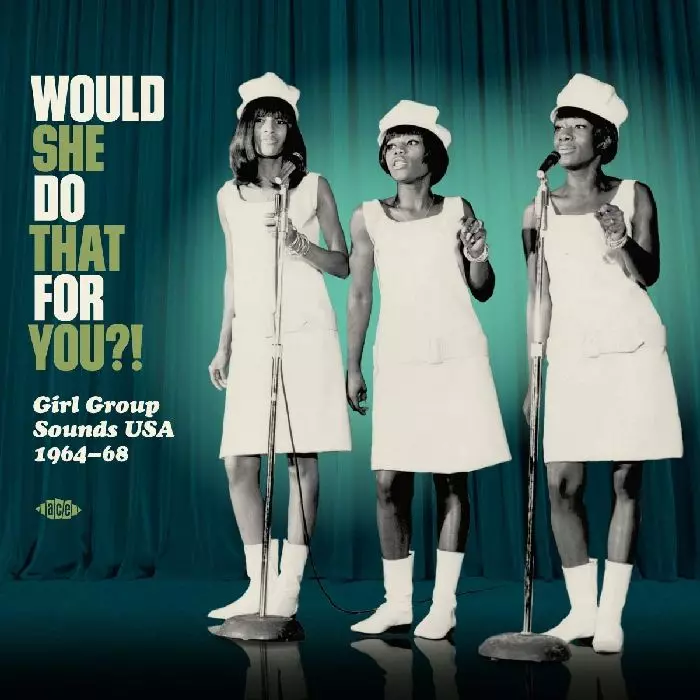 V.A. (GIRL POP/FRENCH POP) / WOULD SHE DO THAT FOR YOU?! - GIRL GROUP SOUNDS USA 1964-68 (LP)