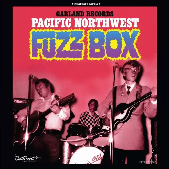 V.A. (GARLAND RECORDS) / GARLAND RECORDS PACIFIC NORTHWEST FUZZ BOX (COLORED LP)