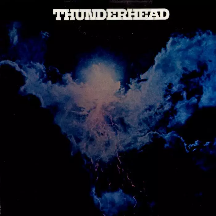 THUNDERHEAD / サンダーヘッド商品一覧｜JAZZ｜ディスクユニオン