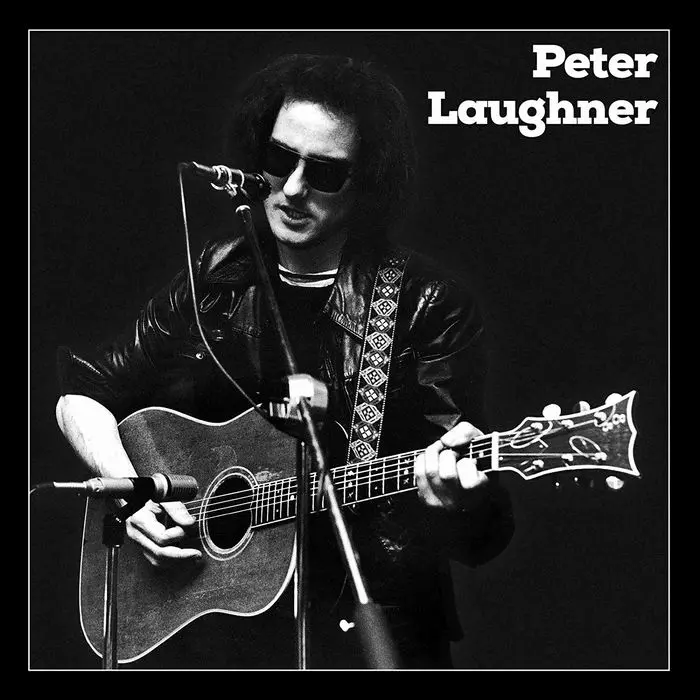PETER LAUGHNER / PETER LAUGHNER (5LP BOX)