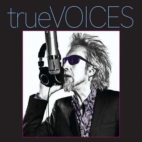 V.A. (ROCK GIANTS) / TRUE VOICES (CD)