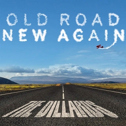 DILLARDS / ディラーズ / OLD ROAD NEW AGAIN (CD)