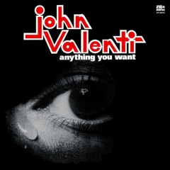 JOHN VALENTI / ジョン・ヴァレンティ / エニシング・ユー・ウォント (LP)