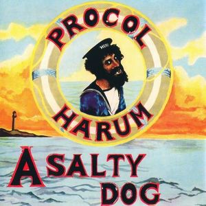 PROCOL HARUM / プロコル・ハルム / SALTY DOG +6 / ソルティ・ドッグ +6 (K2HD+HQCD)