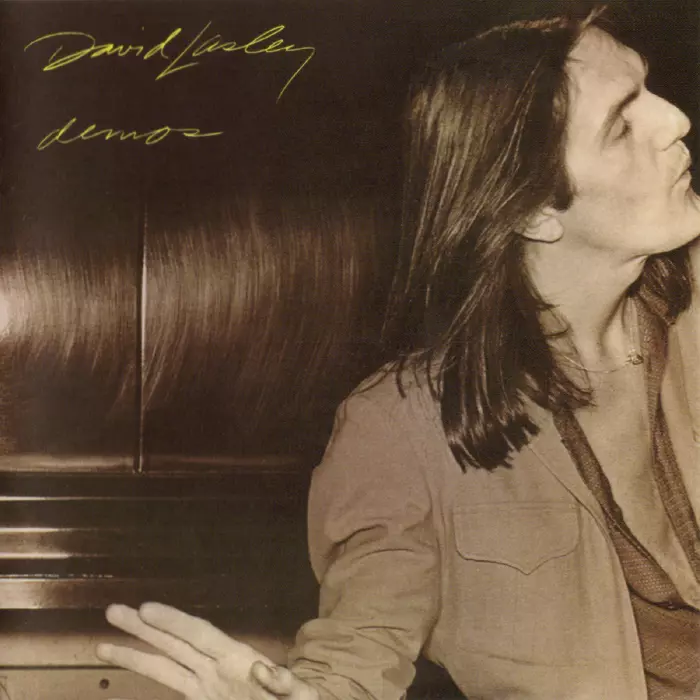 DAVID LASLEY / デヴィッド・ラズリー / DEMOS