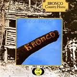 BRONCO (UK) / ブロンコ / COUNTRY HOME + ACE OF SUNLIGHT