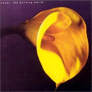SWANS / スワンズ / BURNING WORLD