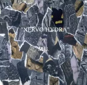 MAURIZIO BIANCHI (M.B.) / マウリツィオ・ビアンキ (M.B.) / NERVO / HYDRA