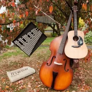 TREE PEOPLE / トゥリー・ピープル / IT'S MY STORY (CD)