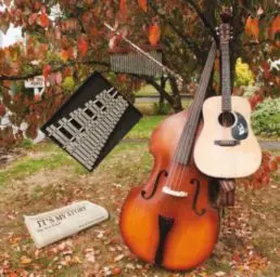 TREE PEOPLE / トゥリー・ピープル / IT'S MY STORY (180G LP)