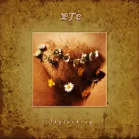 SKYLARKING (2LP)/XTC｜OLD ROCK｜ディスクユニオン・オンライン