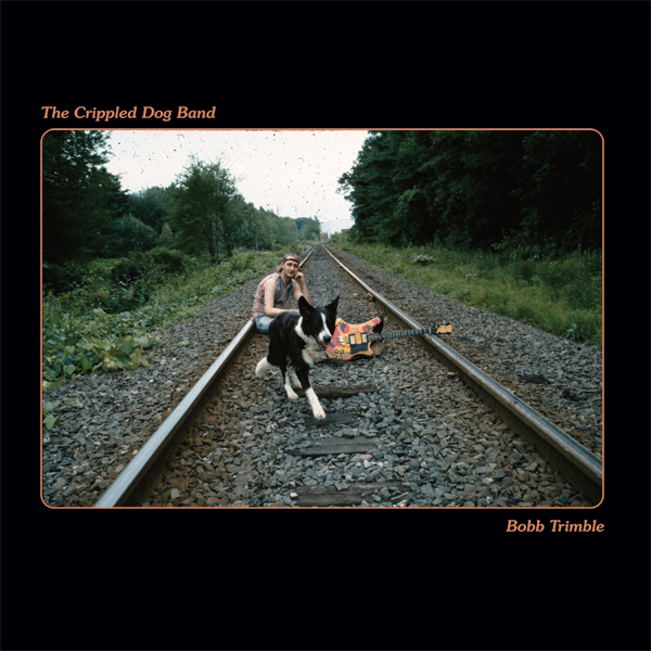 BOBB TRIMBLE / ボブ・トリンブル / THE CRIPPLED DOG BAND (LP)