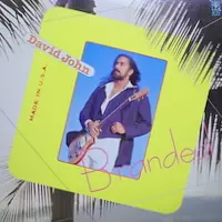 デヴィット・ジョン Mr. ブルースカイ レコード カラパナ来日記念