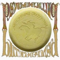 NEIL YOUNG (& CRAZY HORSE) / ニール・ヤング / PSYCHEDELIC PILL (3LP) 