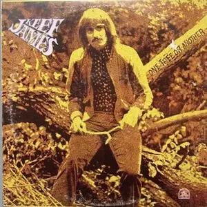 KEEF JAMES / キーフ・ジェームス / ONE TREE OR ANOTHER / ワン・トゥリー・オア・アナザー