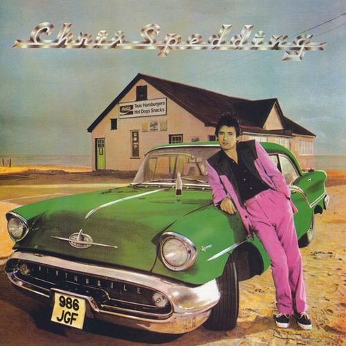 CHRIS SPEDDING / クリス・スペディング商品一覧｜PUNK｜ディスク