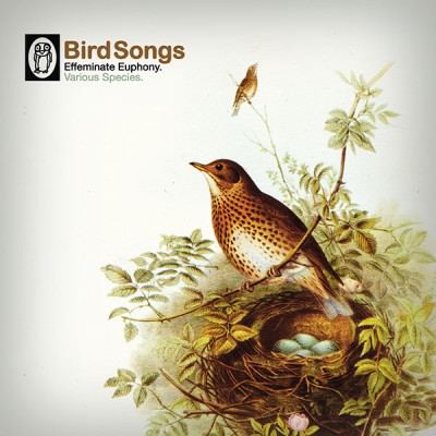 V.A. (PSYCHE) / BIRD SONGS (10")