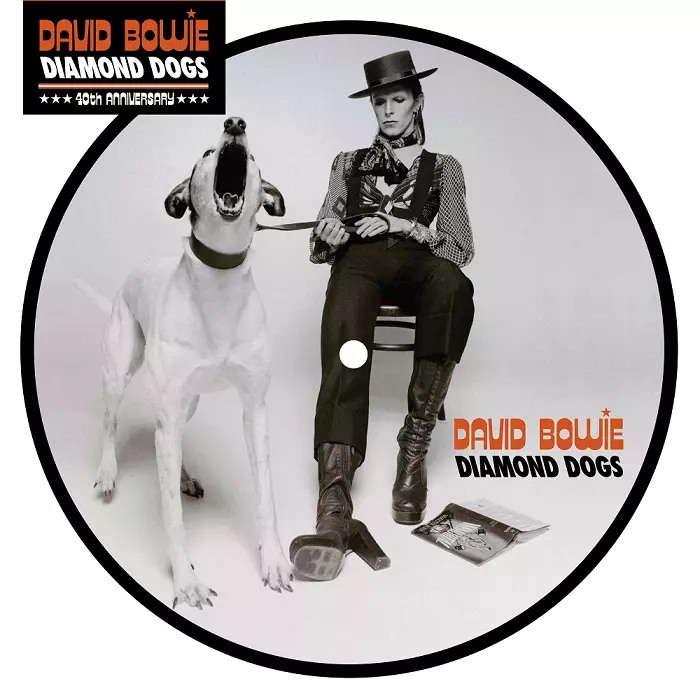 ★１点限り【UKオリジナル】デヴィッド・ボウイ /『ダイアモンド・ドッグズ』 DAVID BOWIE / DIAMOND DOGS - PREMIUM MASTER COLLECTION