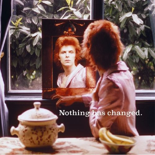 DAVID BOWIE / デヴィッド・ボウイ / NOTHING HAS CHANGED (2LP)