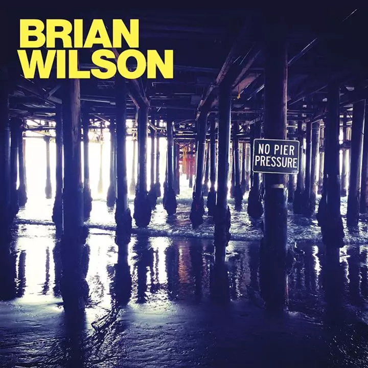 BRIAN WILSON / ブライアン・ウィルソン / NO PIER PRESSURE (2LP)
