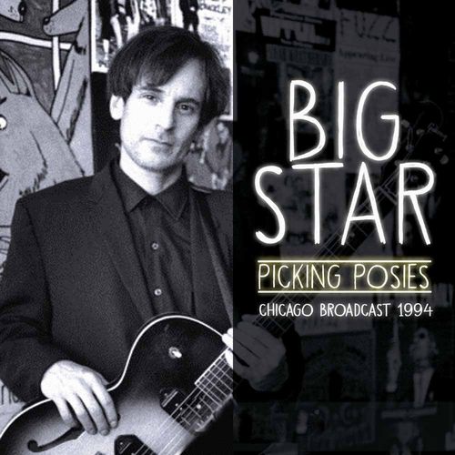 BIG STAR / ビッグ・スター / PICKING POSIES (CD)
