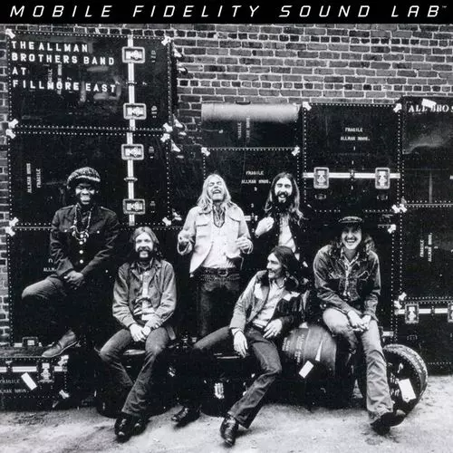 ALLMAN BROTHERS BAND / オールマン・ブラザーズ・バンド / AT FILLMORE EAST (180G 2LP)