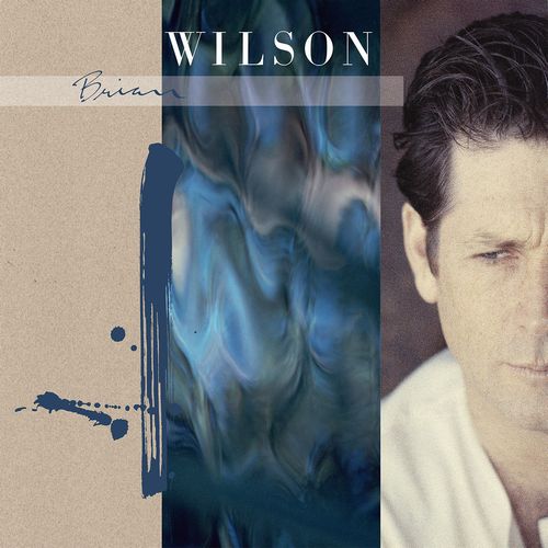 BRIAN WILSON / ブライアン・ウィルソン / BRIAN WILSON (EXTENDED VERSION) [COLORED 2LP]