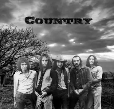 COUNTRY / カントリー商品一覧｜OLD ROCK｜ディスクユニオン
