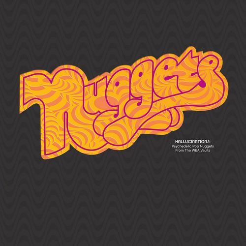 V.A. (NUGGETS) / オムニバス (ナゲッツ) / HALLUCINATIONS: PSYCHEDELIC POP NUGGETS FROM THE WEA VAULT [180G COLORED 2LP]