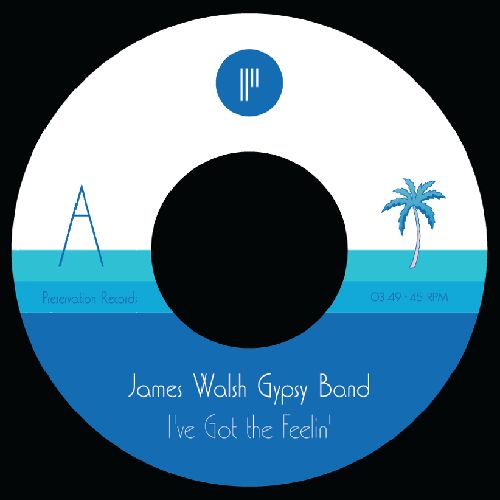 JAMES WALSH GYPSY BAND / ジェイムス・ウォルシュ・ジプシー・バンド 