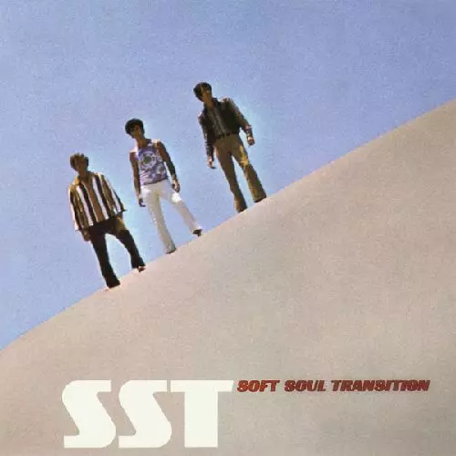 激レア！Soft Soul Transition オリジナル！アナログ盤 SOFT SOUL TRANSITION (SST)商品一覧｜ディスクユニオン・オンライン