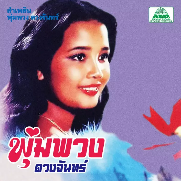 PHUMPHUANG DUANCHAN / プムプワン・ドゥワンチャン / LAM PHLOEN PHUMPHUANG DUANCHAN / ラム・プルーン プムプワン・ドゥワンチャン