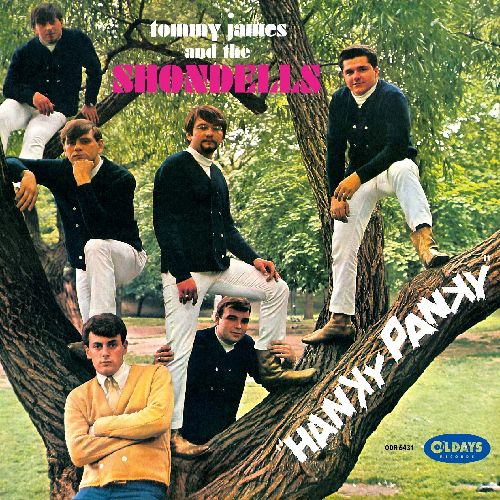 HANKY PANKY / ハンキー・パンキー/TOMMY JAMES & THE SHONDELLS