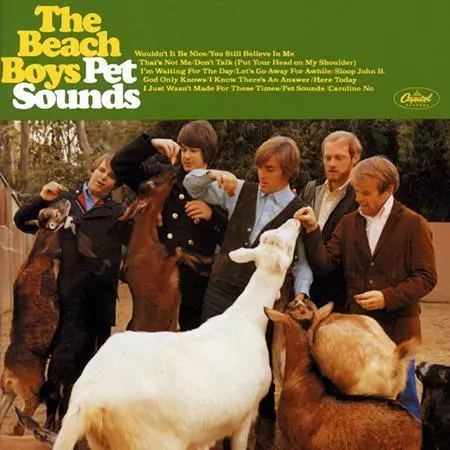 BEACH BOYS / ビーチ・ボーイズ / PET SOUNDS (200G 45RPM MONO 2LP)