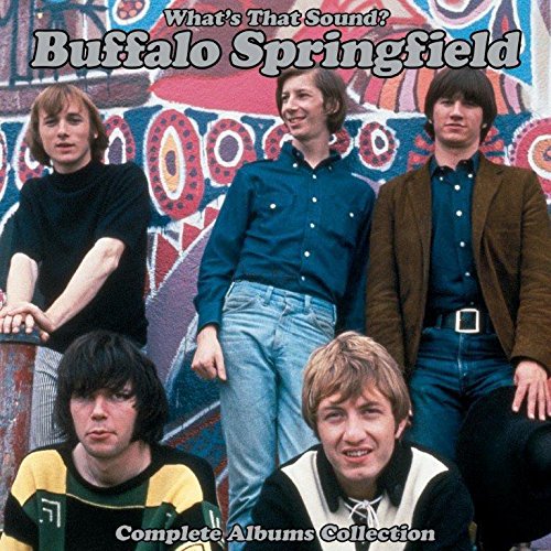 BUFFALO SPRINGFIELD / バッファロー・スプリングフィールド / WHAT'S THAT SOUND? - COMPLETE ALBUMS COLLECTION (5LP)