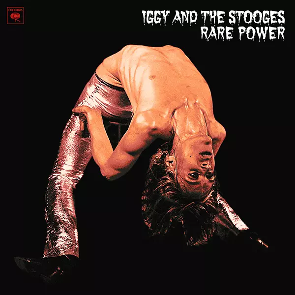 レア！重量版！Iggy and The Stooges Raw Power LP RARE POWER [LP]/IGGY POP / STOOGES (IGGY & THE STOOGES) /イギー
