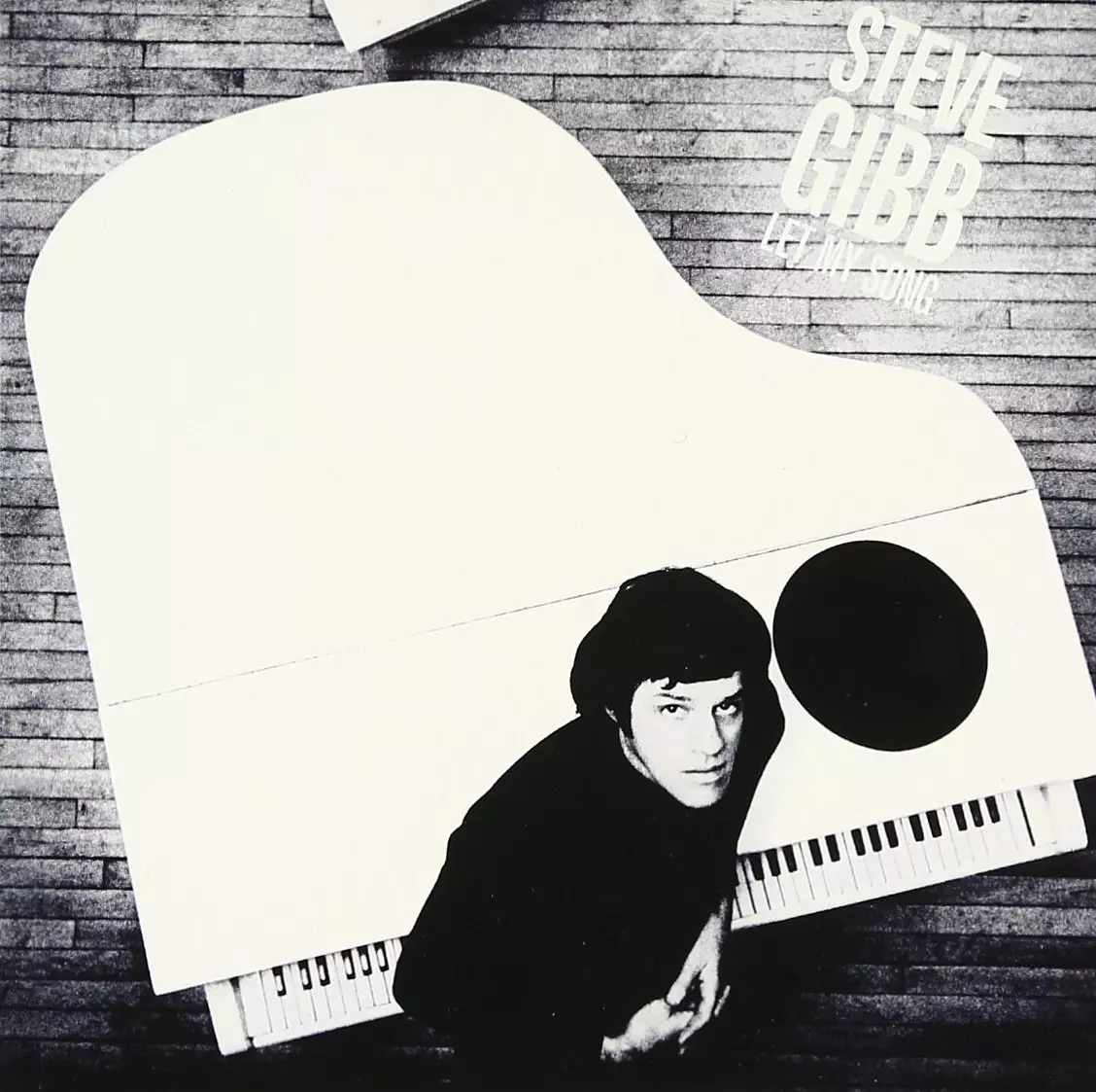 STEVE GIBB / スティーヴ・ギブ商品一覧｜SOUL / BLUES｜ディスク