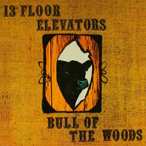 13TH FLOOR ELEVATORS / サーティーンス・フロア・エレヴェーターズ / BULL OF THE WOODS (2CD)