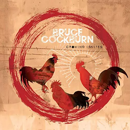 レコード SSW名盤 Bruce Cockburn フォーク レアグルーヴ LP ◇9/6(火) 60's～70's ROCK新入荷情報◇～SSW/SWAMPの各種名盤が
