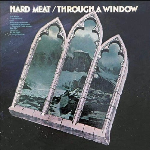 HARD MEAT / ハード・ミート / THROUGH A WINDOW (LP)