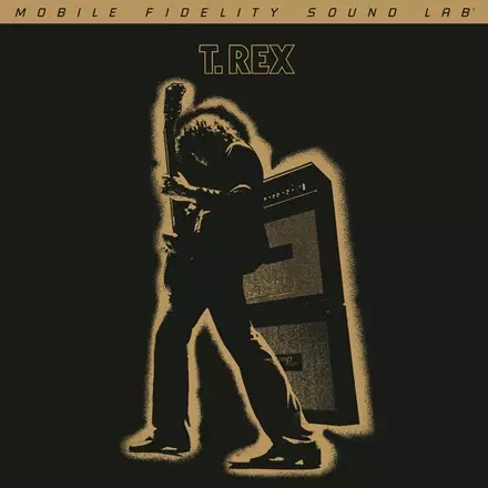 T. REX / T・レックス / ELECTRIC WARRIOR (NUMBERED 180G 45RPM VINYL 2LP)